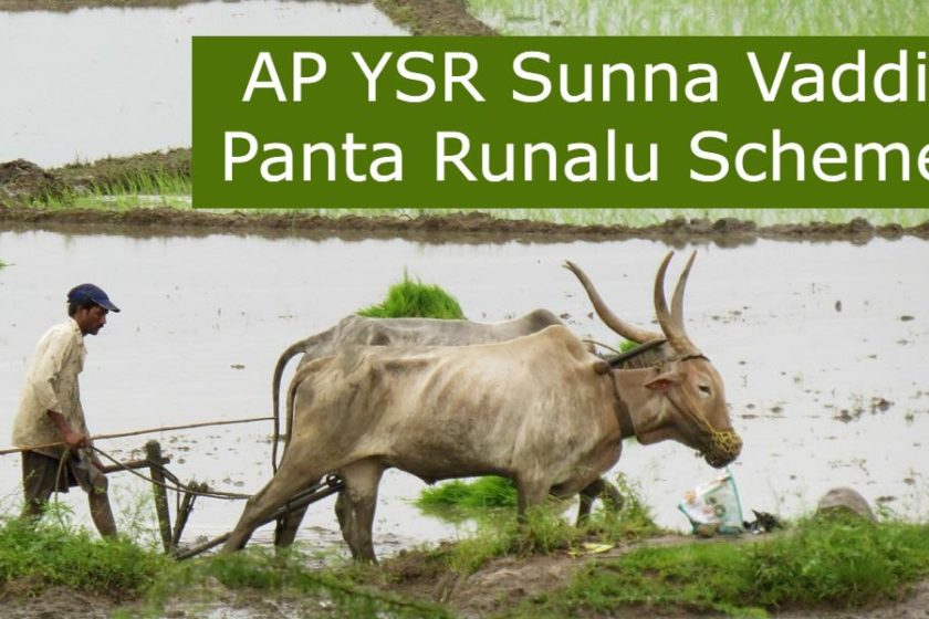 AP YSR Sunna Vaddi Panta Runalu Scheme 2020