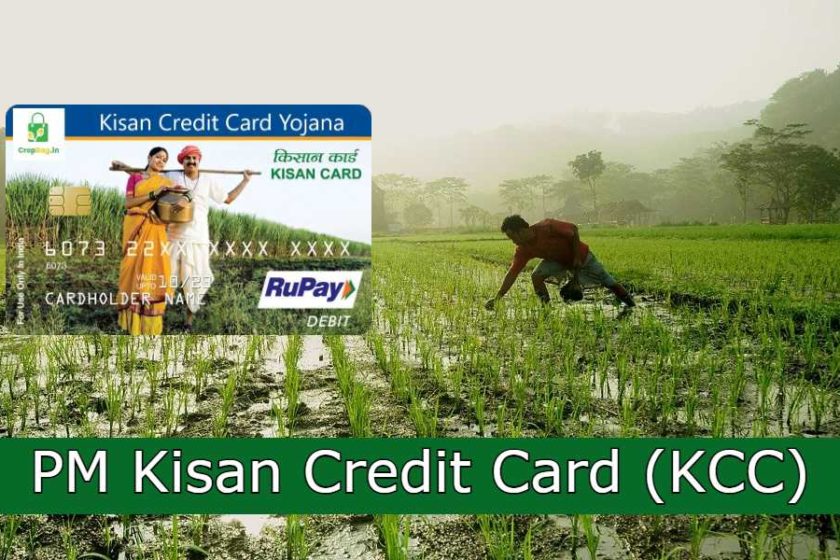 PM Kisan Credit Card (KCC) Application Form 2020-2021 PDF Download