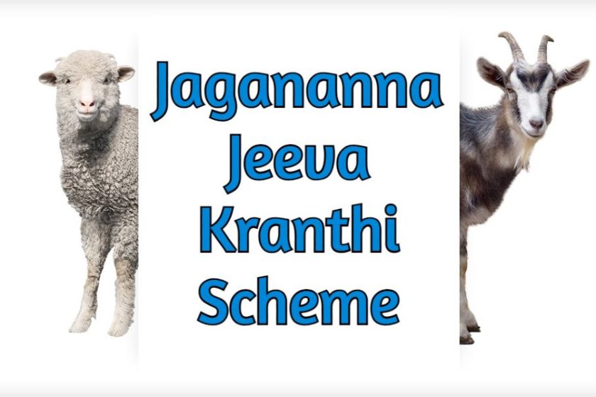 AP Jagananna Jeeva Kranthi Scheme 2021 – Apply Online, BC / SC / ST / Minority Women Selection for Sheep & Goat Units