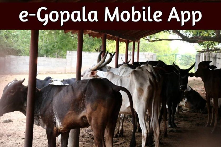 e-Gopala Mobile App Download from Google Play Store (Android)